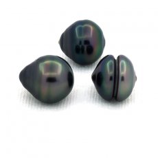 Lot of 3 Tahitian Pearls Ringed C from 10 to 10.2 mm