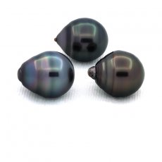 Lot of 3 Tahitian Pearls Ringed C from 11.3 to 11.4 mm