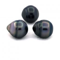 Lot of 3 Tahitian Pearls Ringed C from 11.5 to 11.7 mm