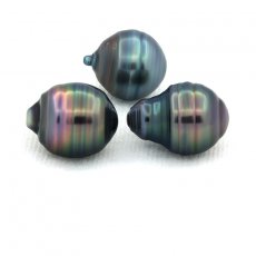 Lot of 3 Tahitian Pearls Ringed C from 10 to 10.2 mm