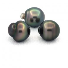 Lot of 3 Tahitian Pearls Ringed C from 11.6 to 11.8 mm