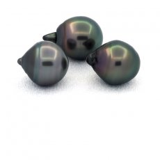 Lot of 3 Tahitian Pearls Ringed C from 11.6 to 11.7 mm