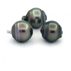 Lot of 3 Tahitian Pearls Ringed C from 11.6 to 11.7 mm