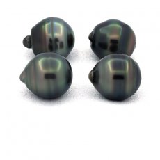 Lot of 4 Tahitian Pearls Ringed C/D from 11.5 to 11.7 mm