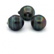 Lot of 3 Tahitian Pearls Ringed C from 11.5 to 11.8 mm